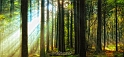 paysage 09_11_12n03